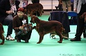 Crufts2011 636